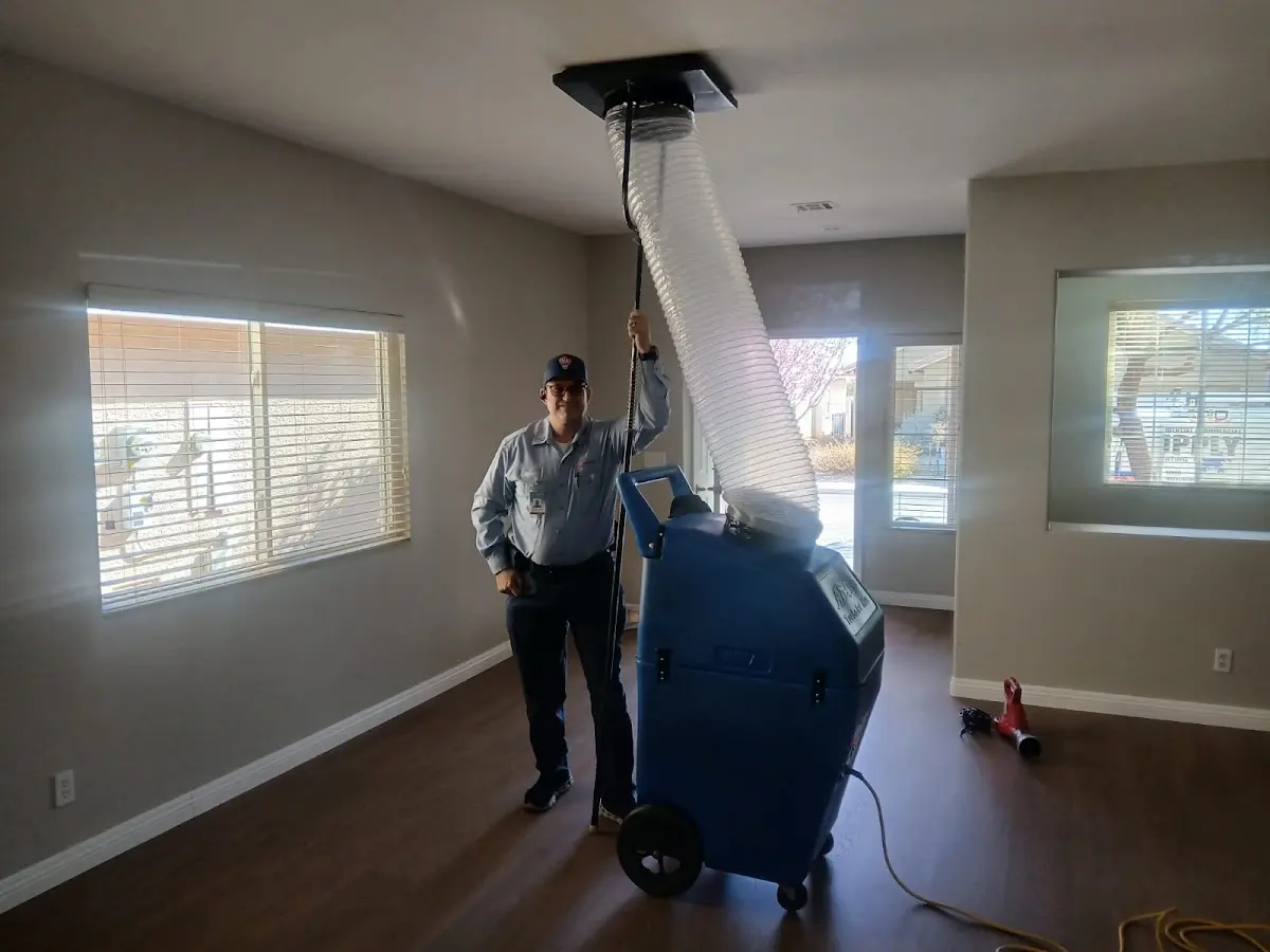 Professional Dryer Vent Cleaning work inside a Palermo home